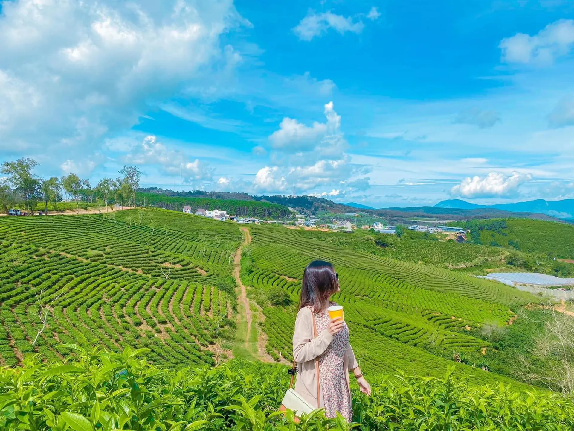 Du lịch Cầu Đất cuối năm: 5 trải nghiệm đáng dậy sớm ngoài săn mây