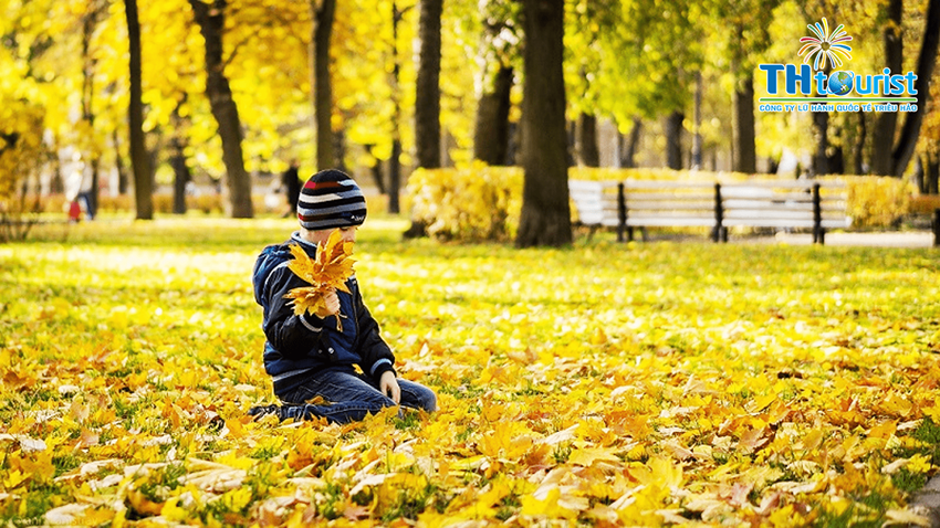 DU LỊCH MÙA THU NÊN ĐI ĐÂU 