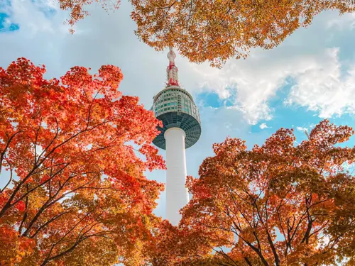 KHÁM PHÁ HÀN QUỐC: SEOUL - NAMI - EVERLAND (VN/VJ) THU 2025