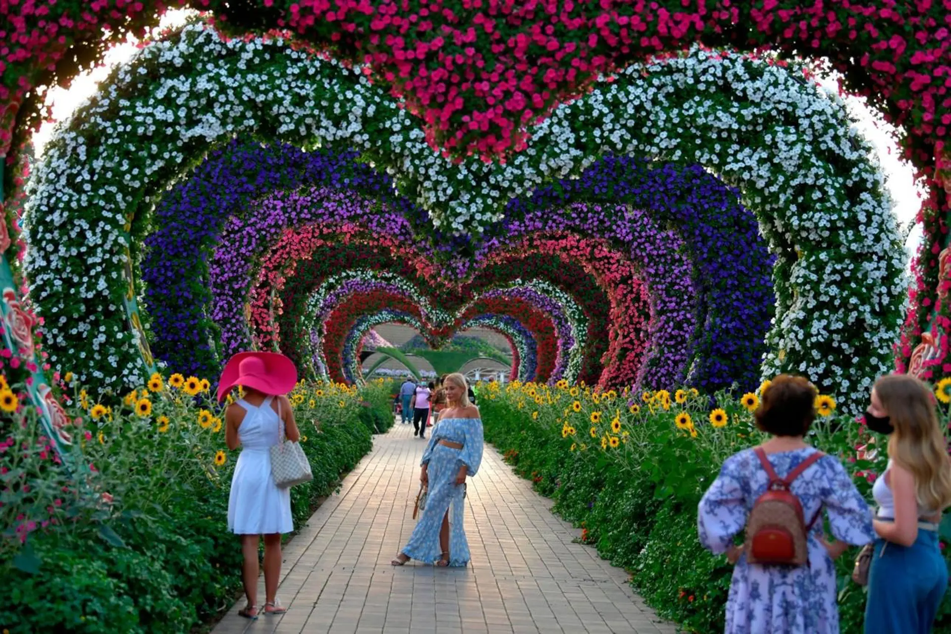 Dubai Miracle Garden có gì? 7 trải nghiệm thú vị ngoài những góc check-in