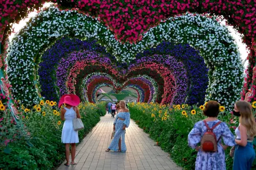 Dubai Miracle Garden có gì? 7 trải nghiệm thú vị ngoài những góc check-in