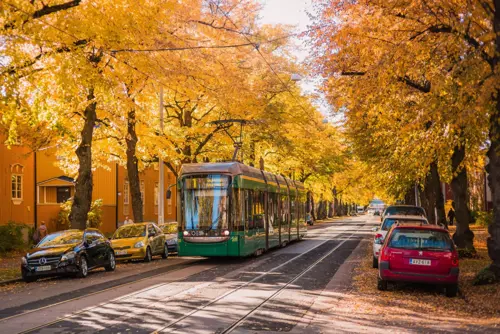 Helsinki mùa thu: Cung đường Töölönlahti - Seurasaari 