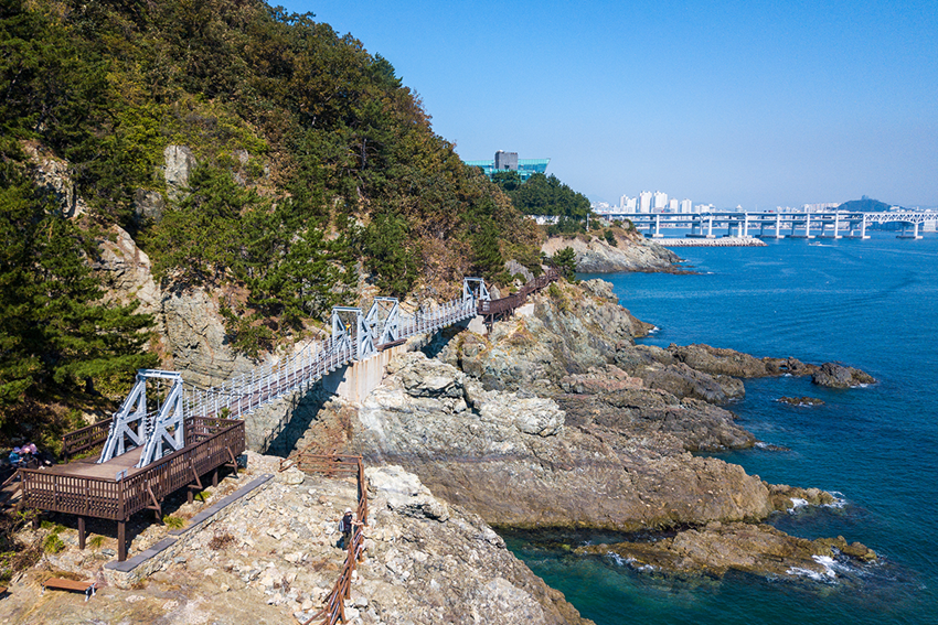 Tết Busan 2026 - Trải nghiệm Tết cổ truyền tại thành phố biển Busan xinh đẹp 