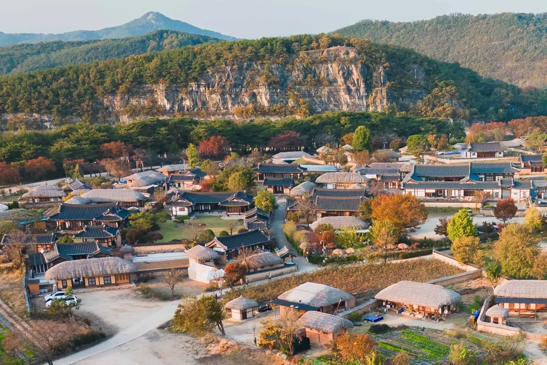 Du Lịch Hàn Quốc 2026 - Con đường hoa anh đào Andong nổi tiếng 