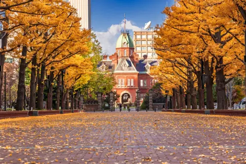 Chi phí du lịch Hokkaido mùa thu - Cẩm nang tiết kiệm khi du lịch mùa cao điểm