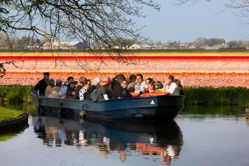 Tour Châu Âu  tháng 4 - Lễ hội hoa tulip Hà Lan rực rỡ mùa xuân