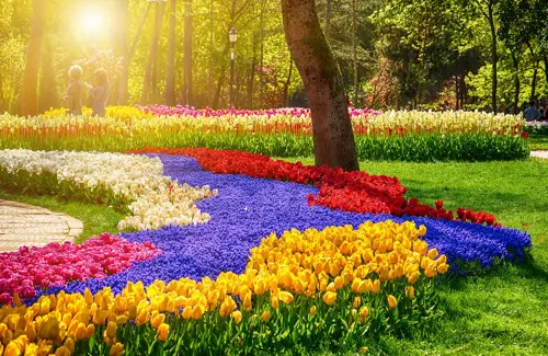 Emirgan Park mùa hoa tulip 2026 -  Thiên đường sắc xuân Istanbul tháng 4 