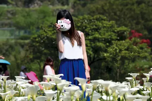 Mùa hoa loa kèn Đài Loan 2026 - Hoa nở tháng mấy, thời điểm nào đẹp nhất?