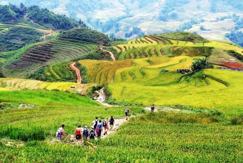 Du lịch Sapa có đáng đi không? Góc nhìn mới nhất 2026 