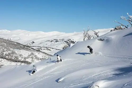 Perisher trượt tuyết – Khám phá khu ski lớn nhất Úc giữa mùa đông Nam bán cầu