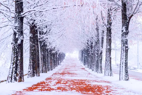 DU LỊCH HÀN QUỐC: SEOUL - NAMI - LOTTE WORLD  2025 (VJ)