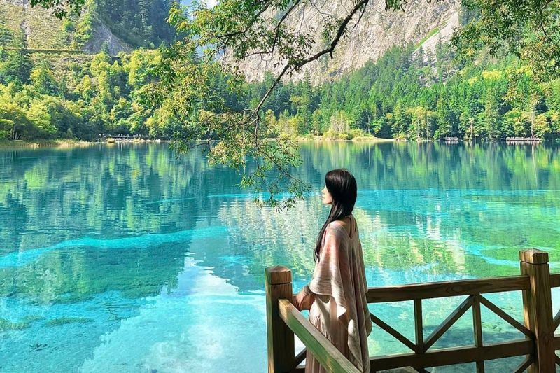 Du lịch Trung Quốc mùa hoa anh đào 2026 -  Chọn tự túc hay theo tour?