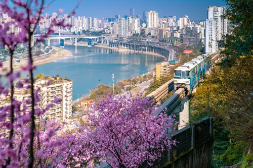 Du lịch Trùng Khánh mùa hoa anh đào tháng 3 - Vẻ đẹp thành phố 8D của Trung Quốc