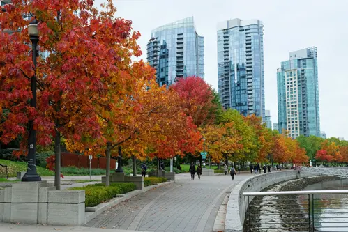 Vancouver mùa thu – Sắc vàng quyến rũ bên bờ biển phía Tây Canada