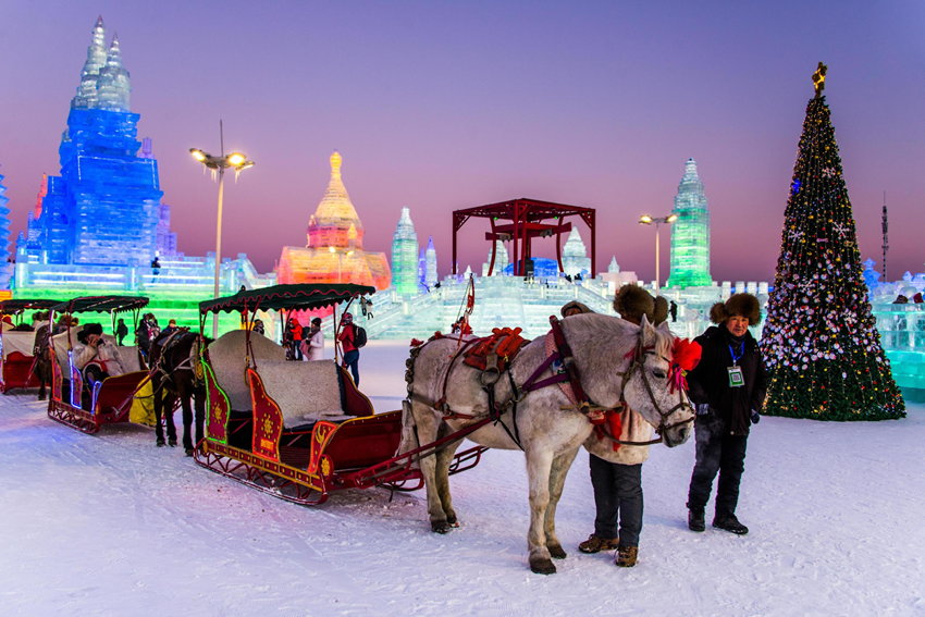 Du Lịch Cáp Nhĩ Tân: Đêm Huyền Ảo Giữa “thành Phố Băng” Trung Quốc