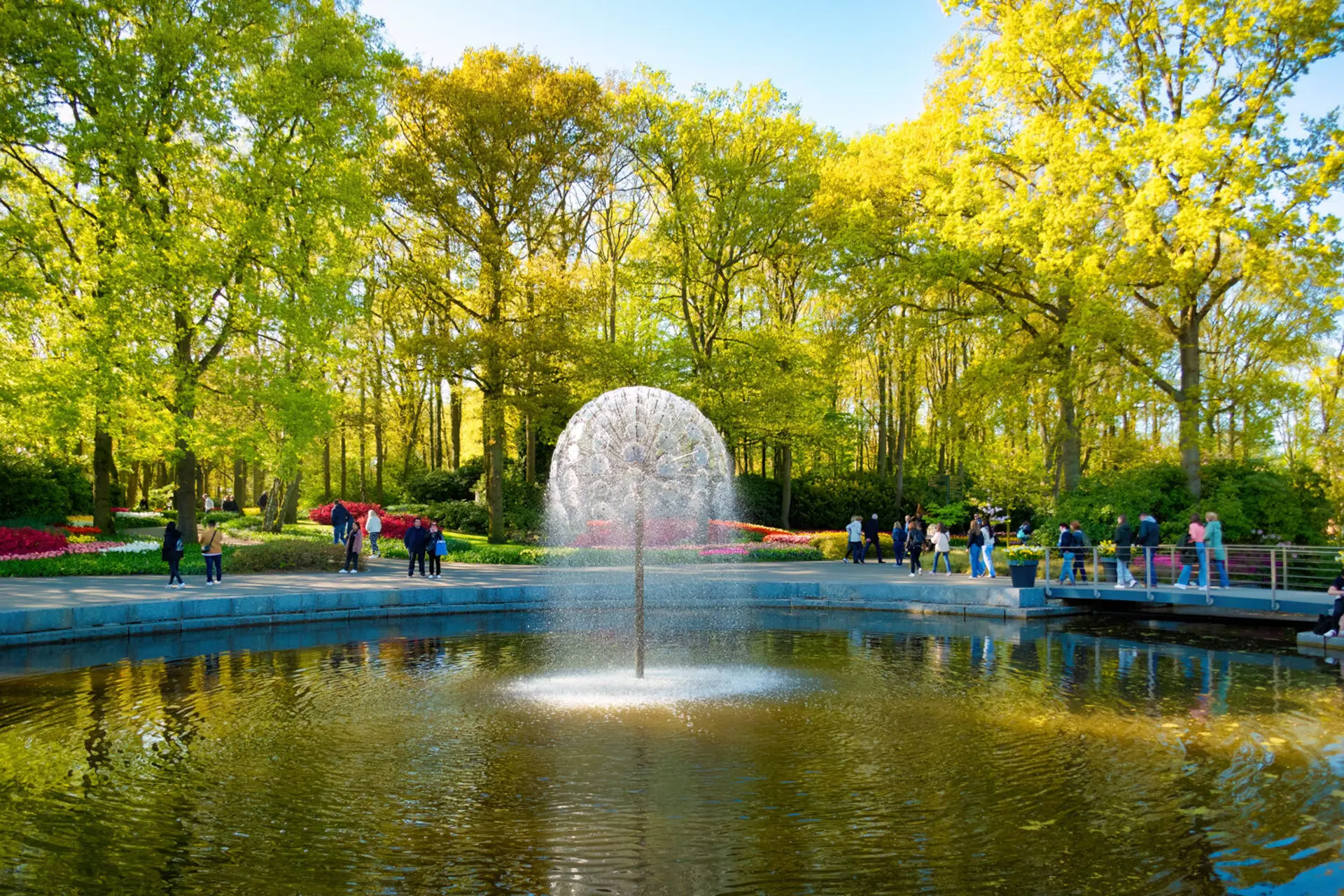 Công viên Keukenhof mùa thu – Vườn hoa rực rỡ giữa lòng Hà Lan