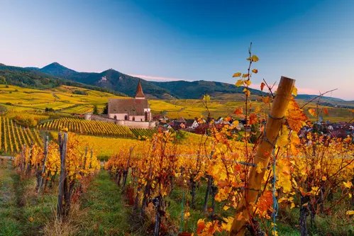 Colmar mùa thu – Khi phố cổ khoác áo vàng bên mái ngói trăm năm