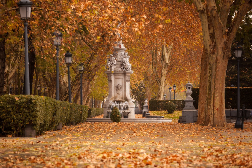Madrid mùa thu 2025 - Sắc vàng dịu dàng và lễ hội đường phố truyền thống