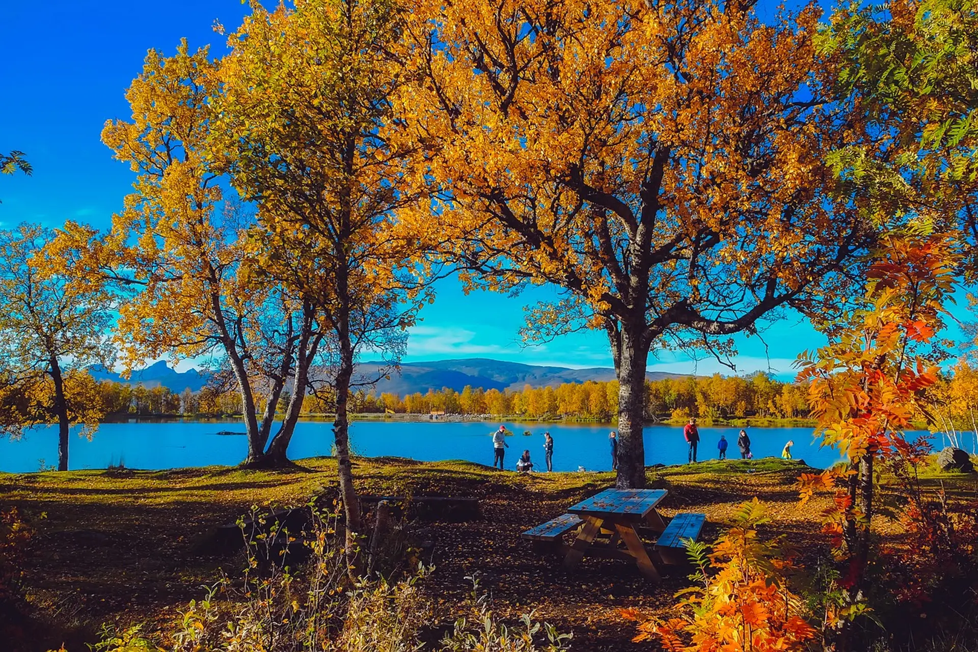 Du Lịch Oslo – Khi Mùa Thu Bắc Âu Nhẹ Nhàng Và Yên Bình