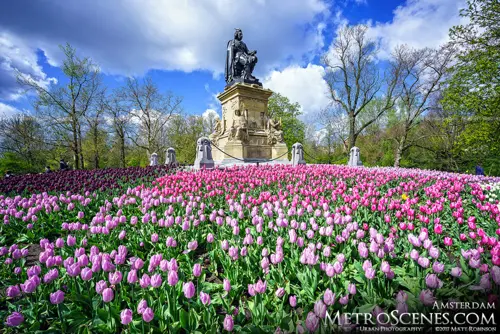Top 5 Điểm Đến Ngắm Hoa Tulip Đẹp Nhất Thế Giới Ngoài Keukenhof
