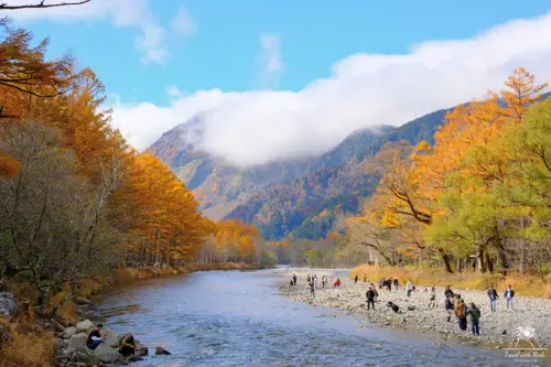 Du Lịch Nhật Bản Mùa Thu: Kinh Nghiệm Ngắm Lá Đỏ Đẹp Nhất Từ A Đến Z
