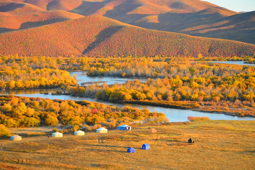 Thảo nguyên Mông Cổ mùa thu 2025 | Bức tranh vàng bất tận