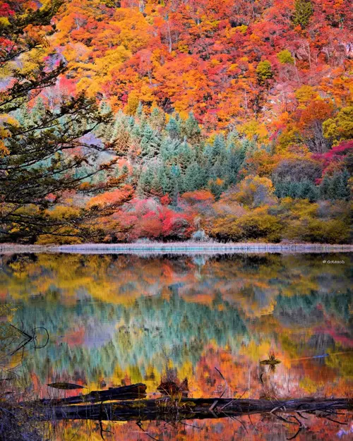 Cửu Trại Câu mùa thu 2025 | Cẩm nang du lịch Tứ Xuyên trọn vẹn nhất