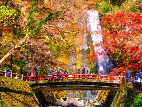 Thác Minoo Osaka | Điểm đến thiên nhiên tuyệt đẹp ở Nhật Bản 2025