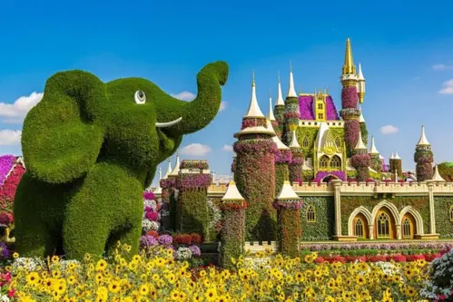 Dubai Miracle Garden & Butterfly Garden – Thiên đường hoa giữa mùa đông Dubai 2025